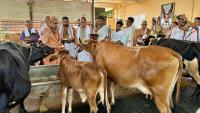 HH Swamiji's visit to Shri Venkatramana Temple Goshala at Karkala (14 Feb 2025)